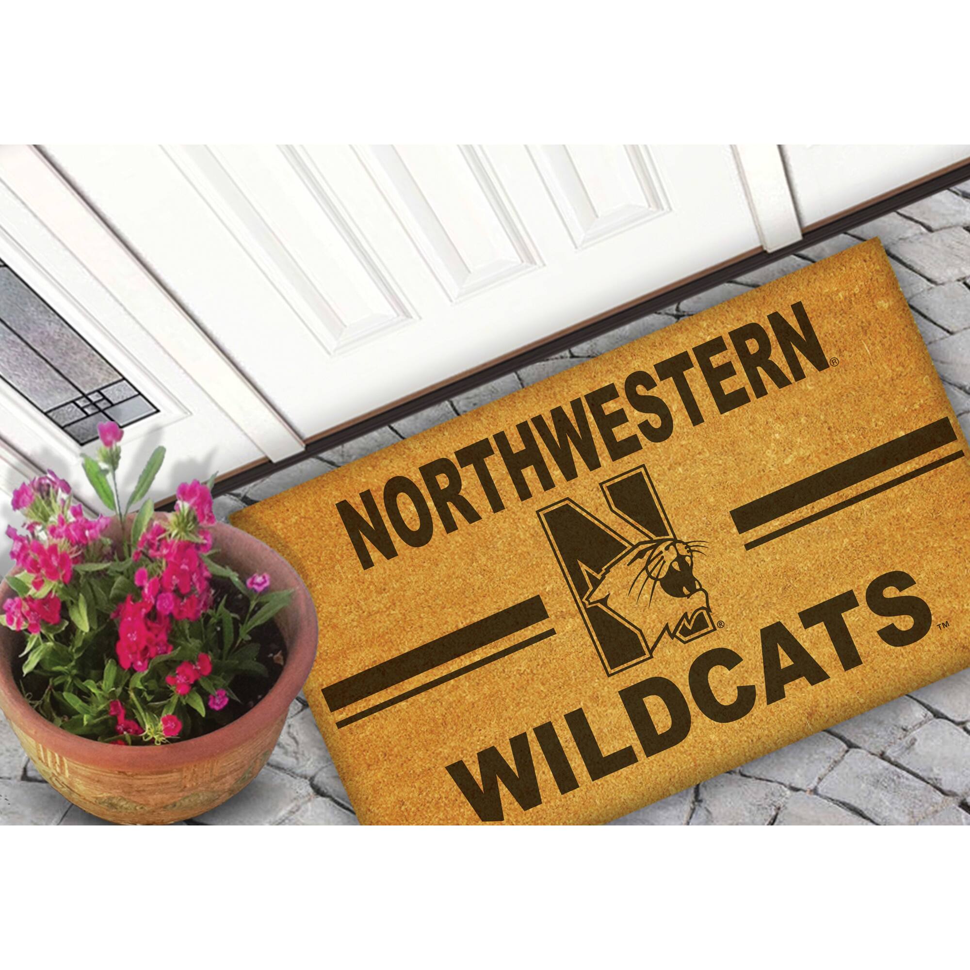 NORTHWESTERN  
WILDCATS