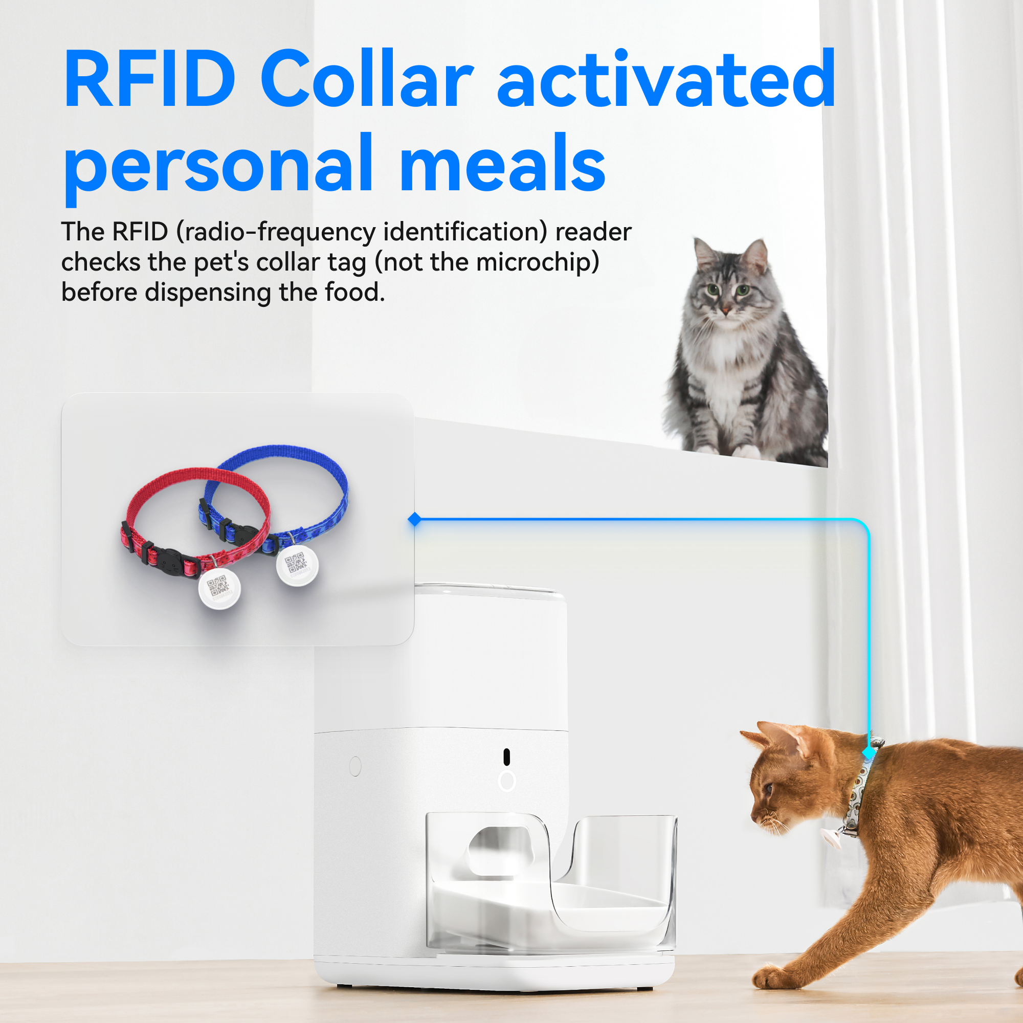 RFID Collar activated personal meals

The RFID (radio-frequency identification) reader checks the pet's collar tag (not the microchip) before dispensing the food.