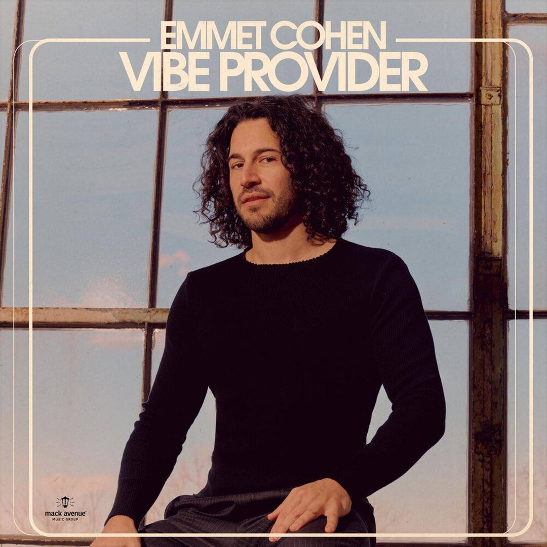 Vibe Provider [LP] - VINYL
