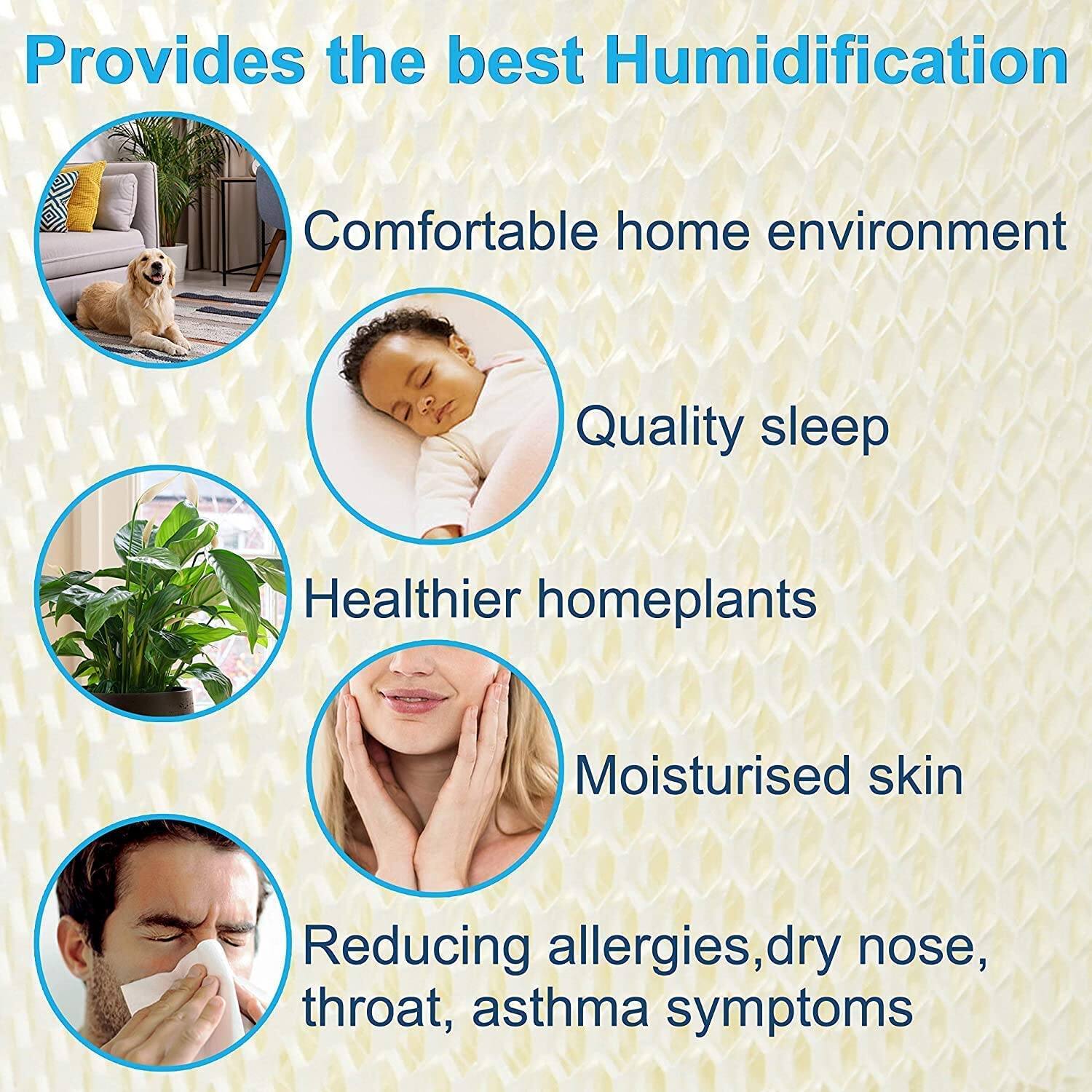 Provides the best Humidification  
Comfortable home environment  
Quality sleep  
Healthier homeplants  
Moisturised skin  
Reducing allergies, dry nose, throat, asthma symptoms
