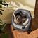 Super Big Ball Bin
Turns freely, cats can adapt it in no time.
17.1"
23.3"
21.0"
23.0"
CATHLINK