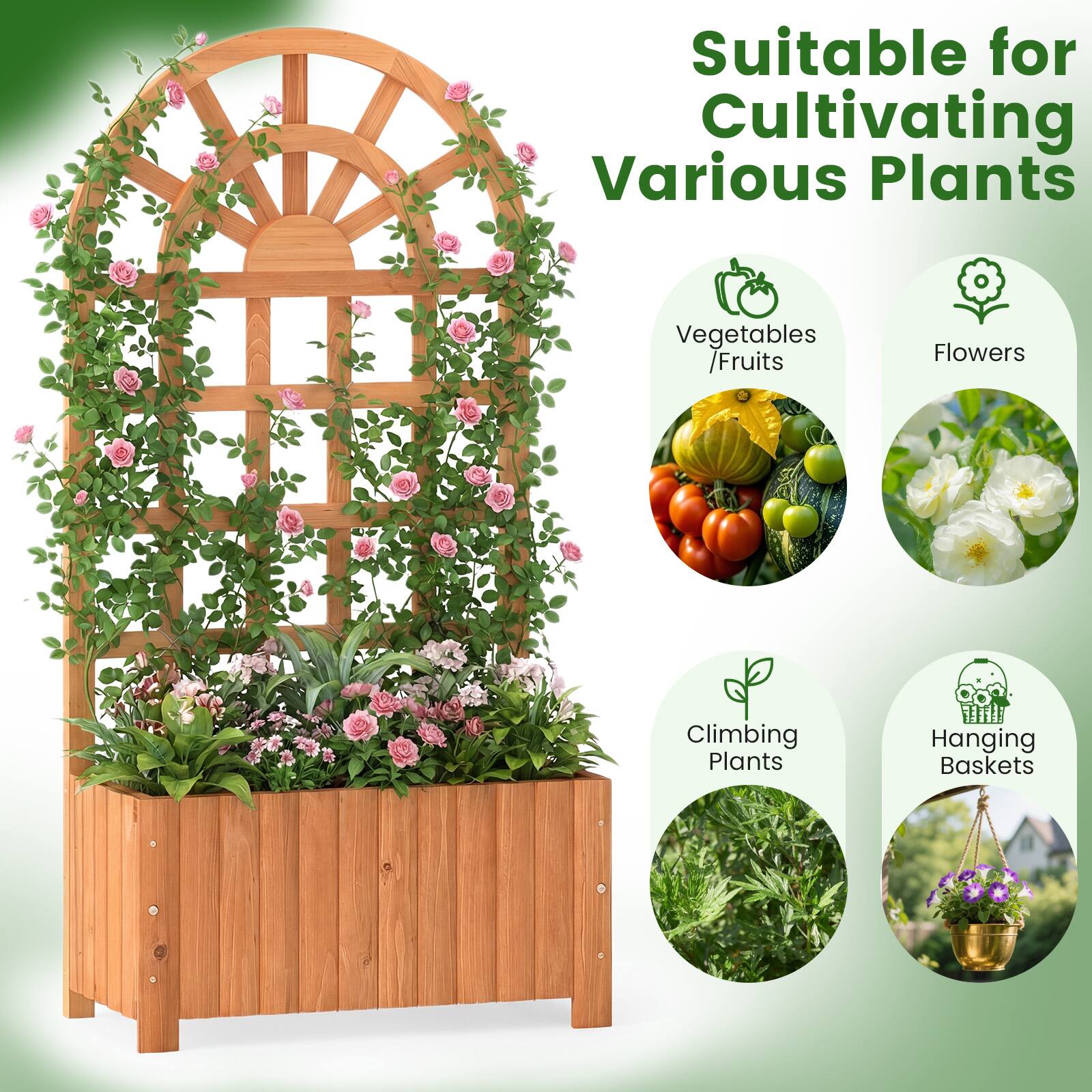 Suitable for Cultivating Various Plants  
Vegetables / Fruits  
Flowers  
Climbing Plants  
Hanging Baskets
