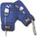 Front Standard. Company X Accessories - Everlast Boxing Gloves for Nintendo Wii (Blue).