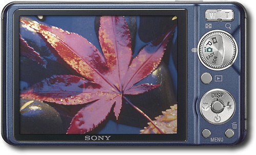 Best Buy: Sony Cyber-shot 12.1-Megapixel Digital Camera Blue DSC-W290/L