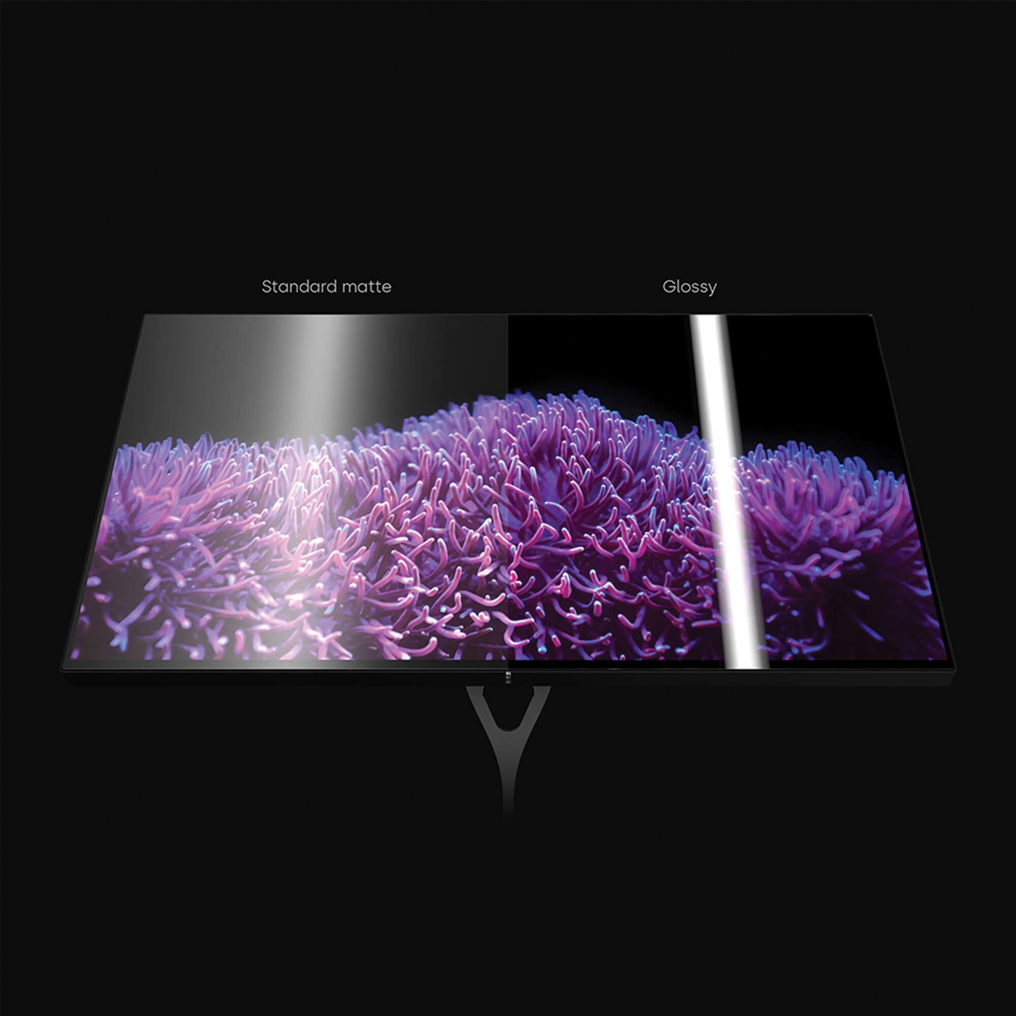 Standard matte Glossy