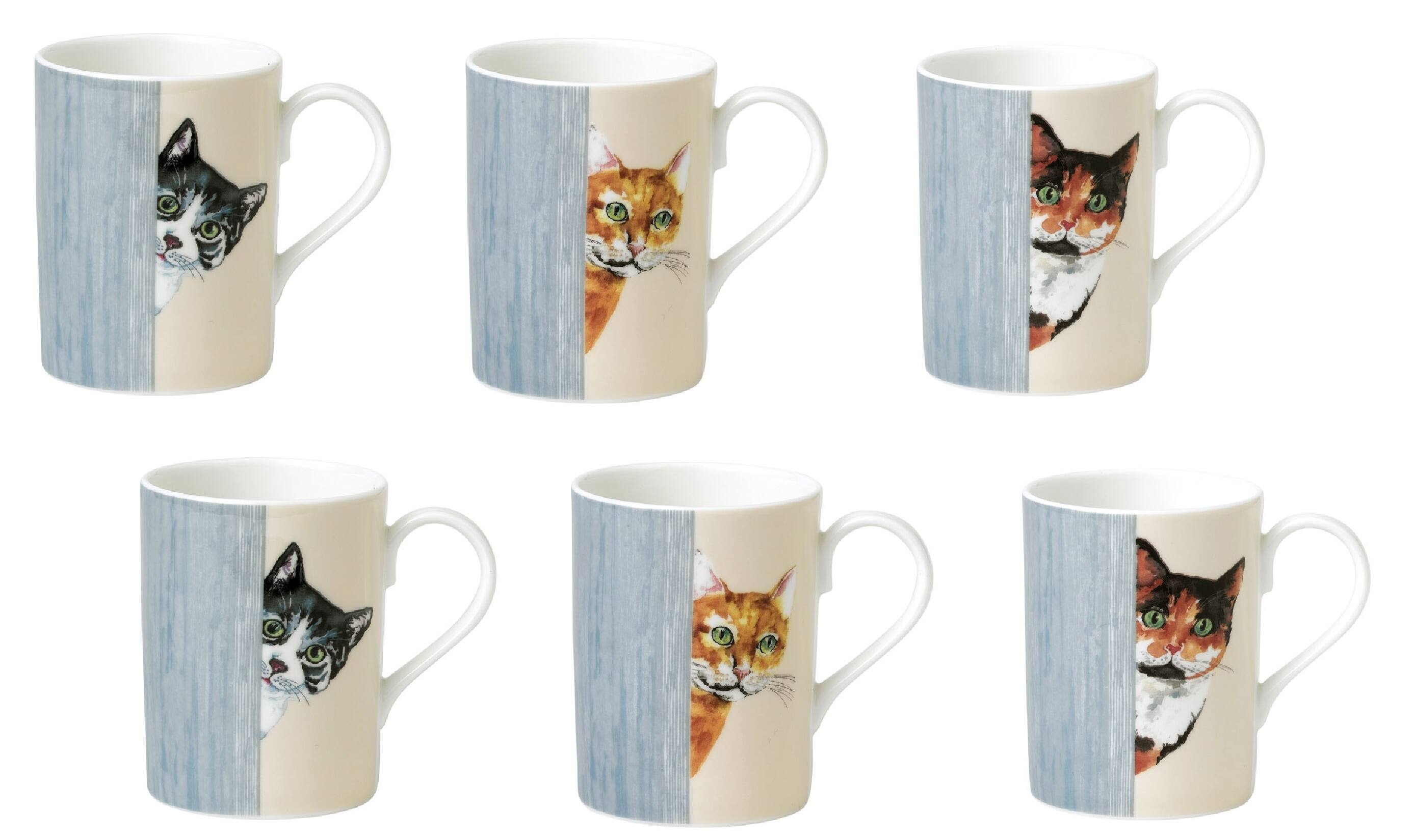 Photos - Mug / Cup Roy Kirkham Jiallo -  LUCY MUG-CAT THROUGH THE DOOR, Set of 6, Bone China Ceramic, Made in England - Mutli color ER21148 