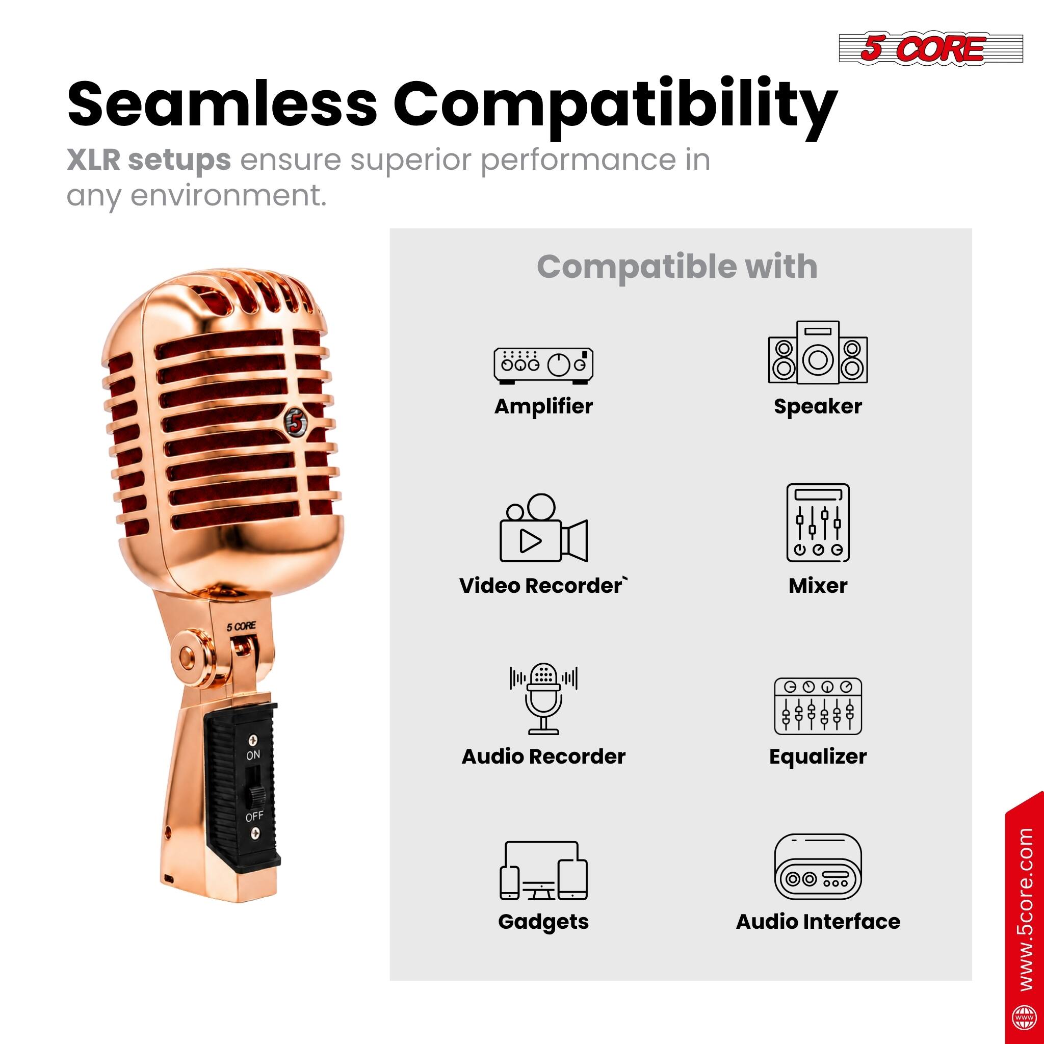5 CORE Seamless Compatibility XLR setups ensure superior performance in any environment. Compatible with Amplifier Speaker Video Recorder Mixer 5 CORE 0 ON OFF  Audio Recorder Gadgets Equalizer Audio Interface www.5core.com