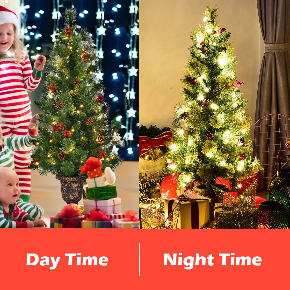 Day Time

Night Time