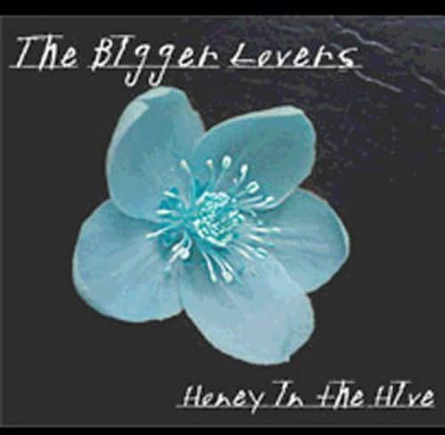 The Bigger Lovers - Honey in the Hive   - COMPACT DISCS [CD] price history on PriceWatchPro