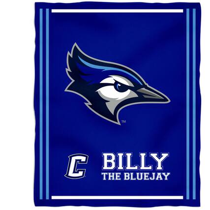 C
BILLY THE BLUEJAY