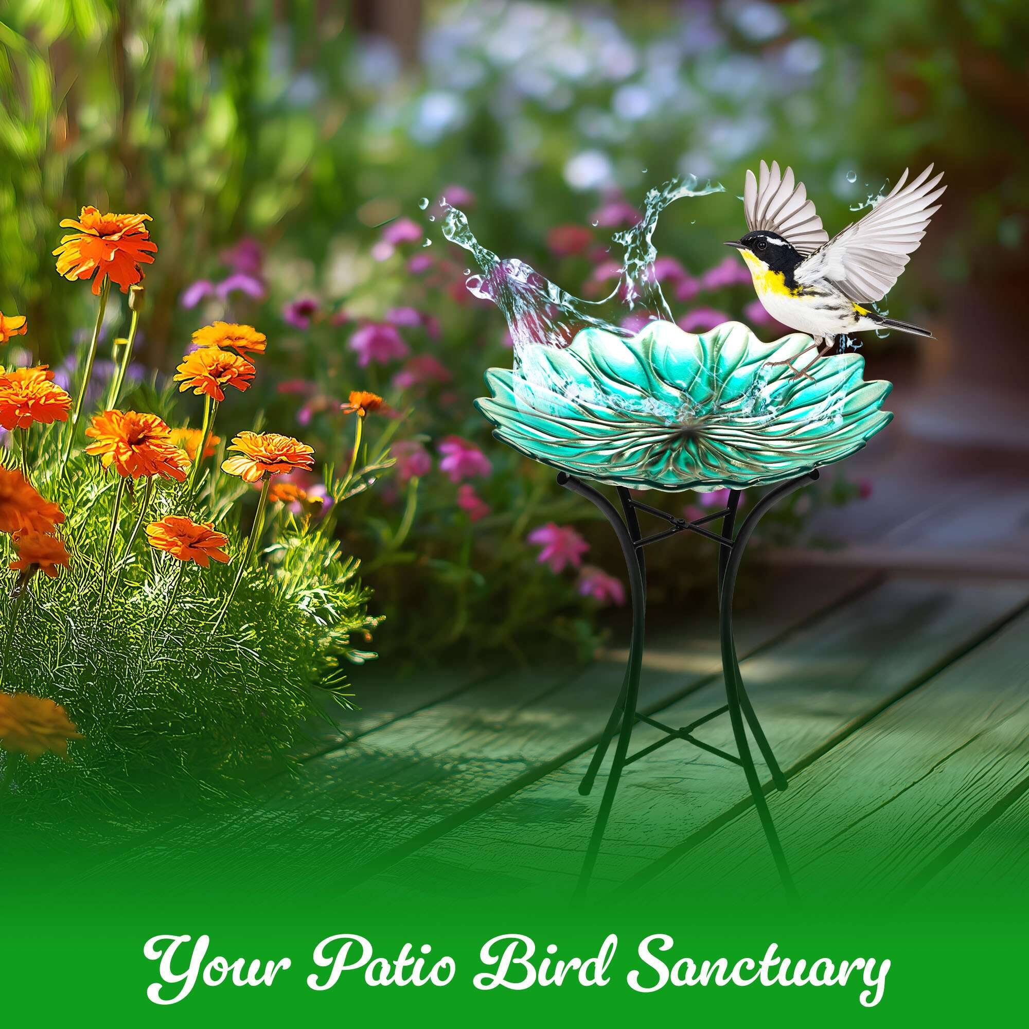 Your Patio Bird Sanctuary