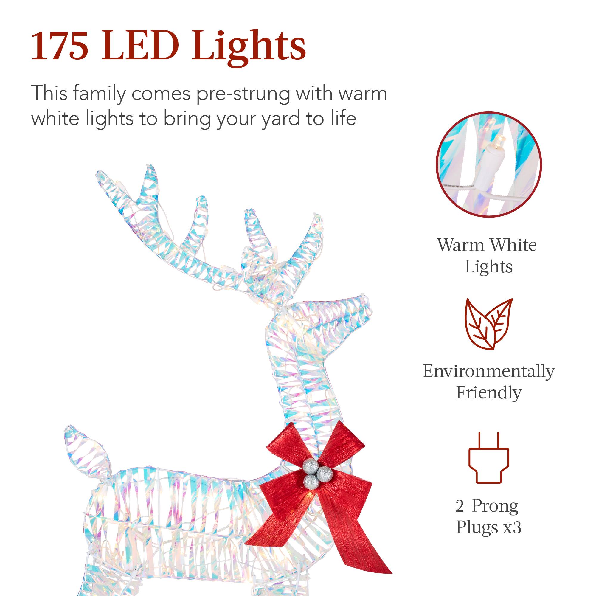 175 LED Lights

This family comes pre-strung with warm white lights to bring your yard to life

- Warm White Lights
- Environmentally Friendly
- 2-Prong Plugs x3