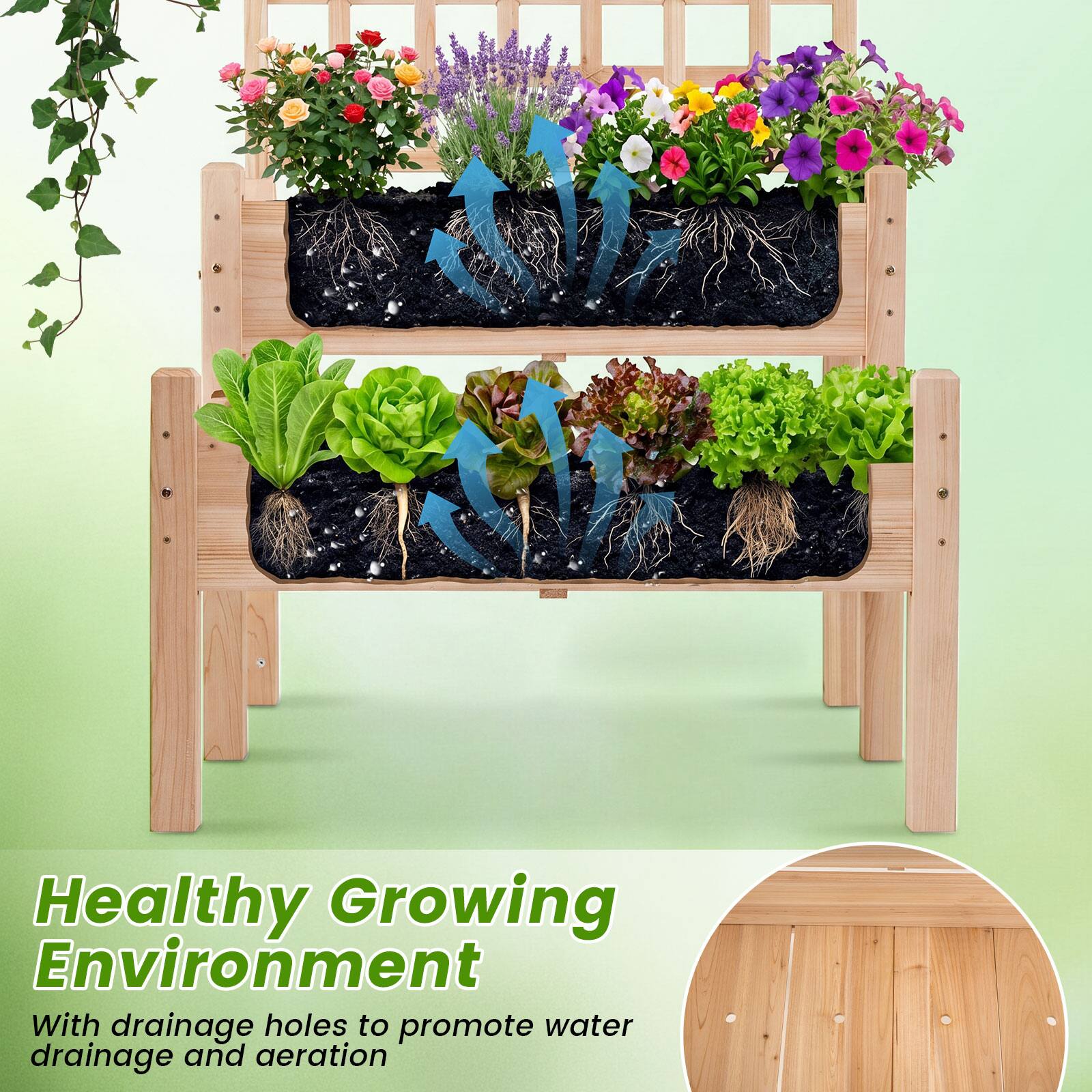 Healthy Growing Environment  
With drainage holes to promote water drainage and aeration