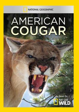 American Cougar - DVD