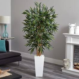 BreeBe - 5.5' Bamboo Tree in White Tower Planter - Green