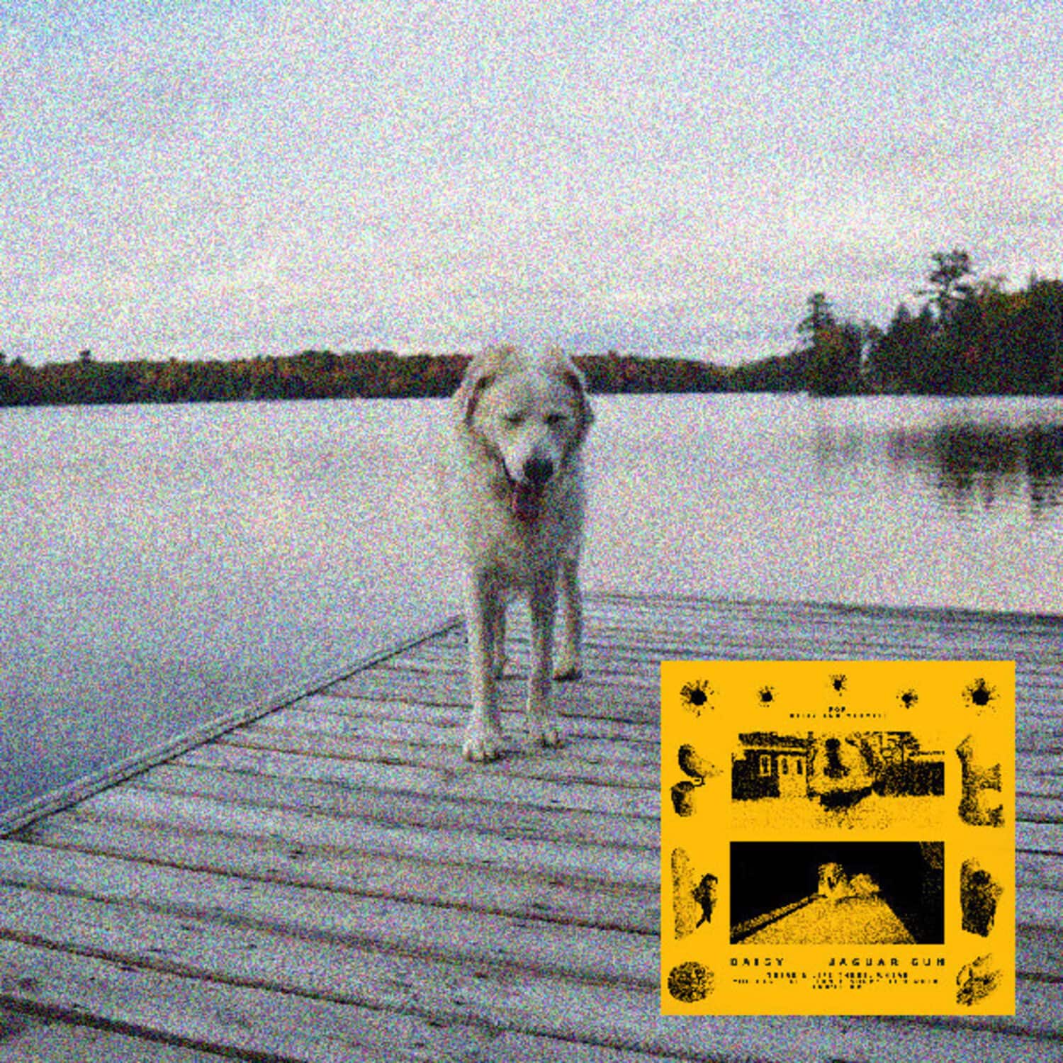 Jaguar Sun - Daisy (BLACK AND YELLOW SWIRL VINYL)   - VINYL LP price history on PriceWatchPro