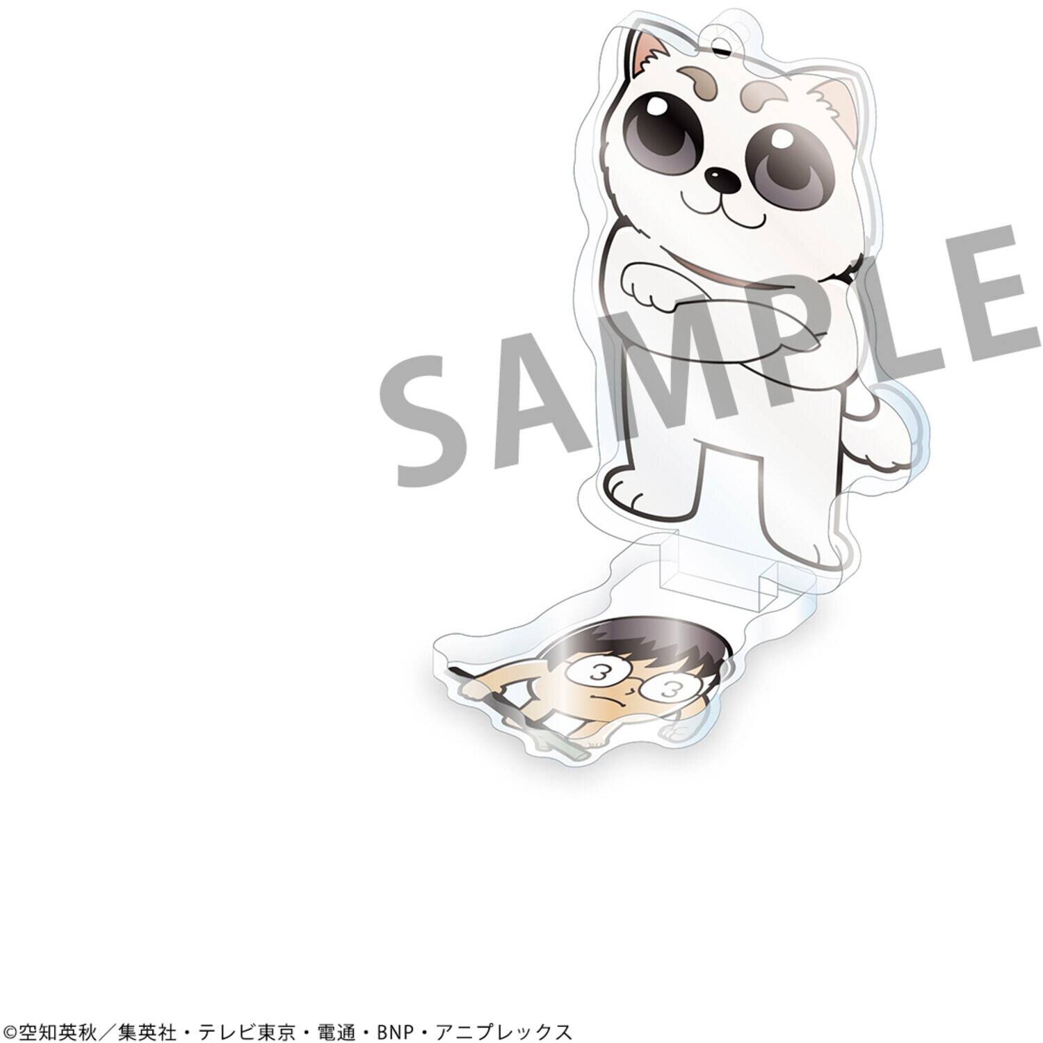 SAMPLE 3 / BNP / BNP