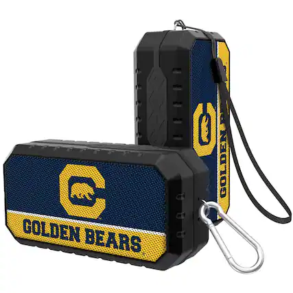 GOLDEN BEARS