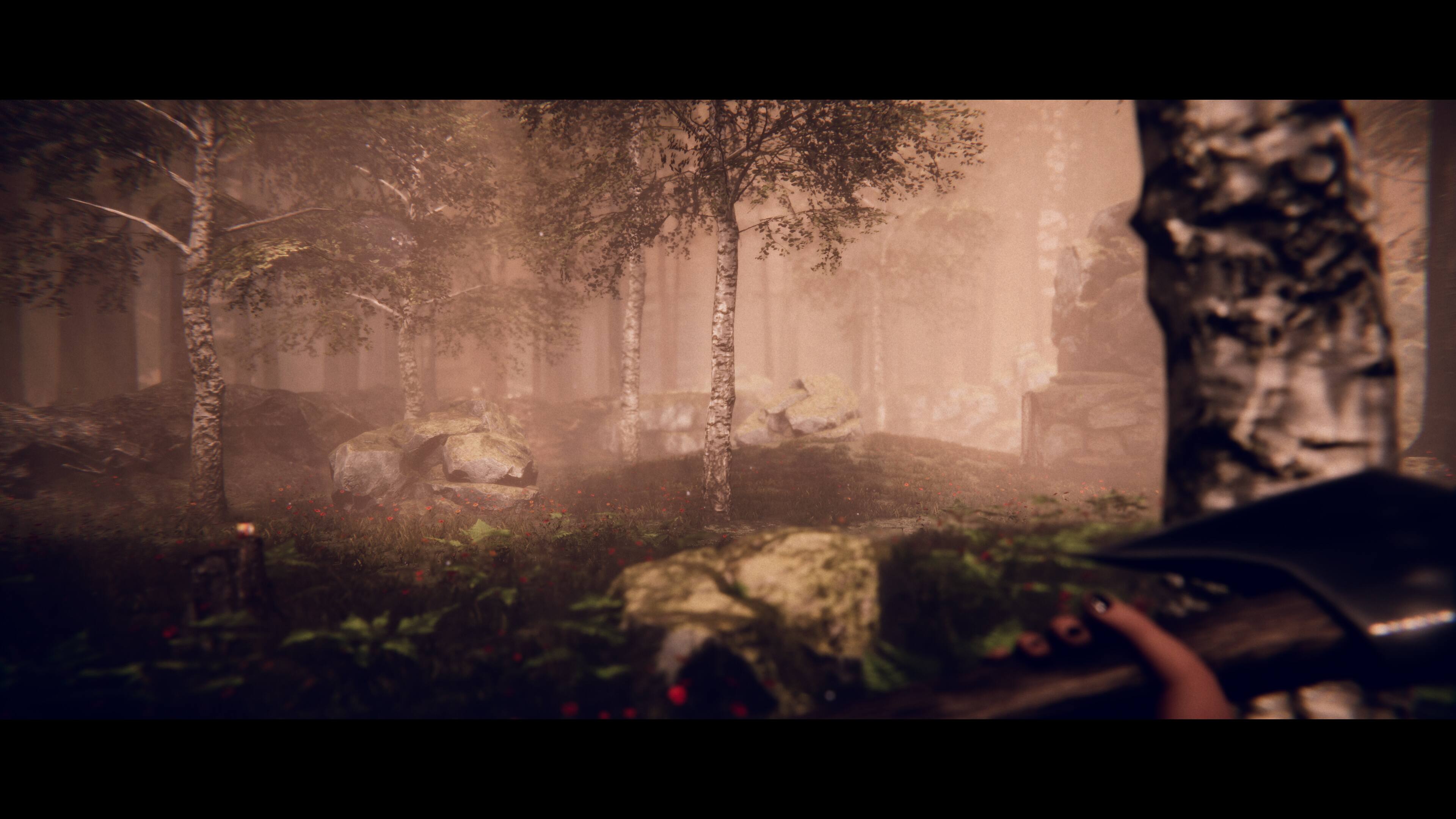 Alt View 4. Selecta Play - Project Songbird.