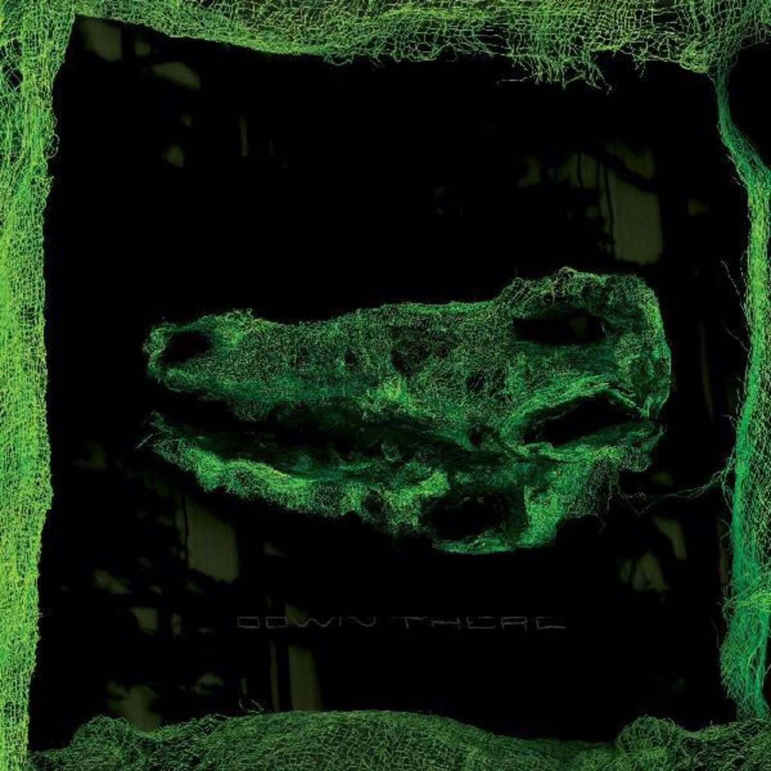 Avey Tare - Down There   - VINYL LP price history on PriceWatchPro