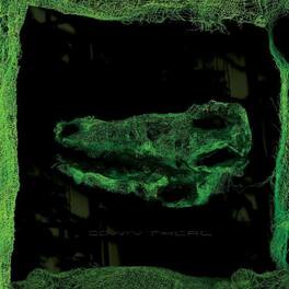 Avey Tare - Down There - VINYL LP