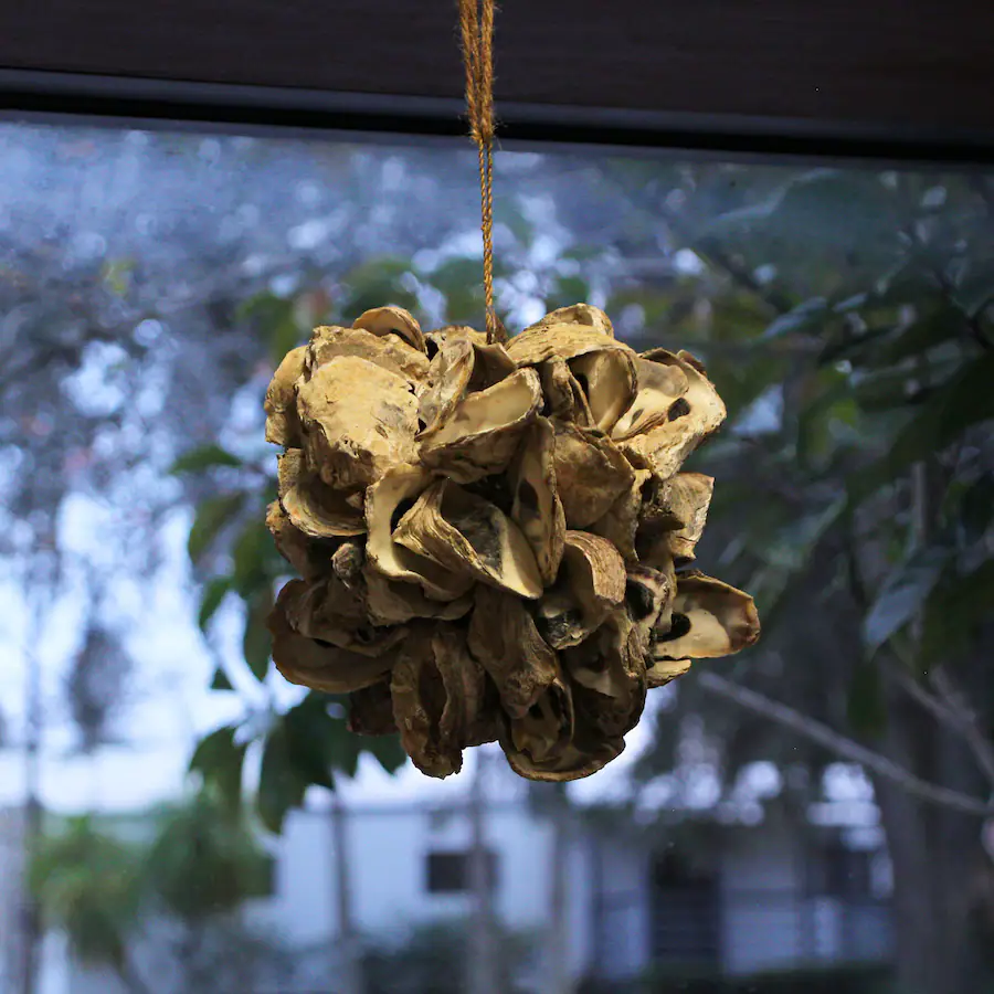 Sphical Shell Things2Die4 Handcrafted Hanging Coastal 9 Inch Oyster Shell Sphere Home ...