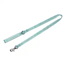 PET MARVEL - Adjustable 4 FT Stylish Dog Leash Neoprene Padded Handle 3/4" Width, M - Mint Green