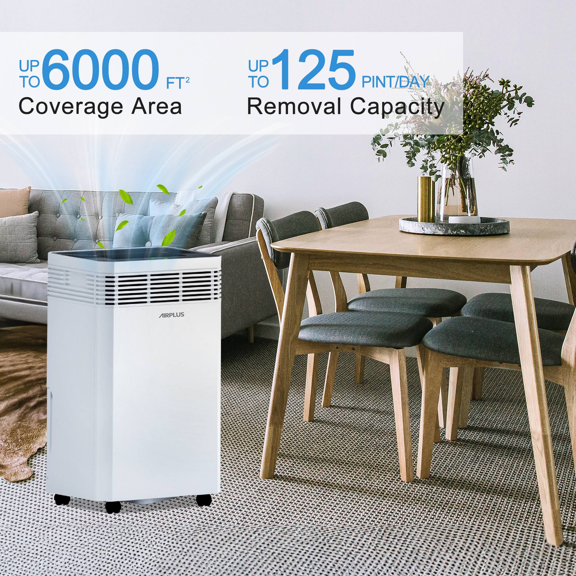 UP TO 6000 FT² Coverage Area  
UP TO 125 PINT/DAY Removal Capacity  
AIRPLUS