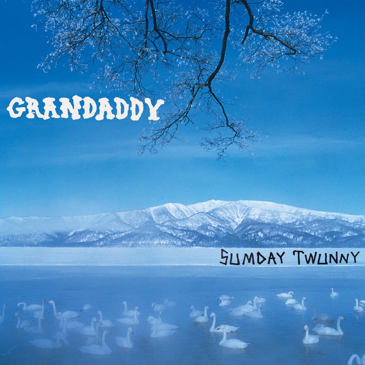 Grandaddy - Sumday: Twunny   - VINYL LP price history on PriceWatchPro