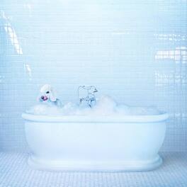 Frankie Cosmos - Vessel - VINYL LP