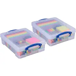 Really Useful Box - 4L Storage Container with Lid and Clip Lock Handles, (2 Pack) - Clear