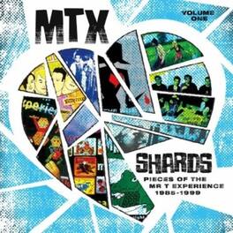 Mr T Experience - Shards Vol. 1 - VINYL LP