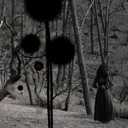 Front. Isis - Not in Rivers But in Drops   - CD5 MAXI-SINGLE.