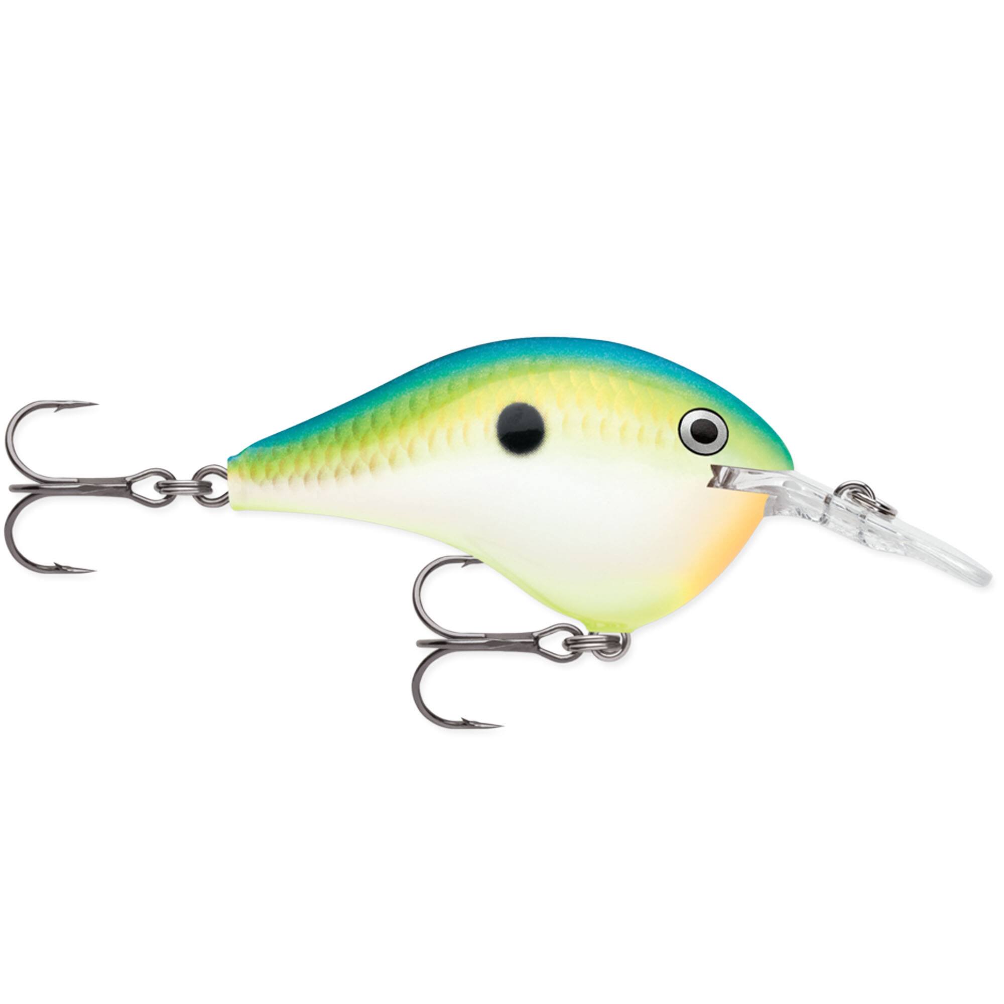 Citrus Shad