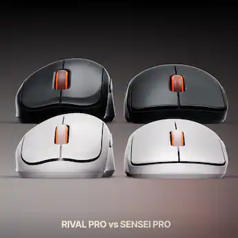 Subject - SteelSeries Wireless Mouse