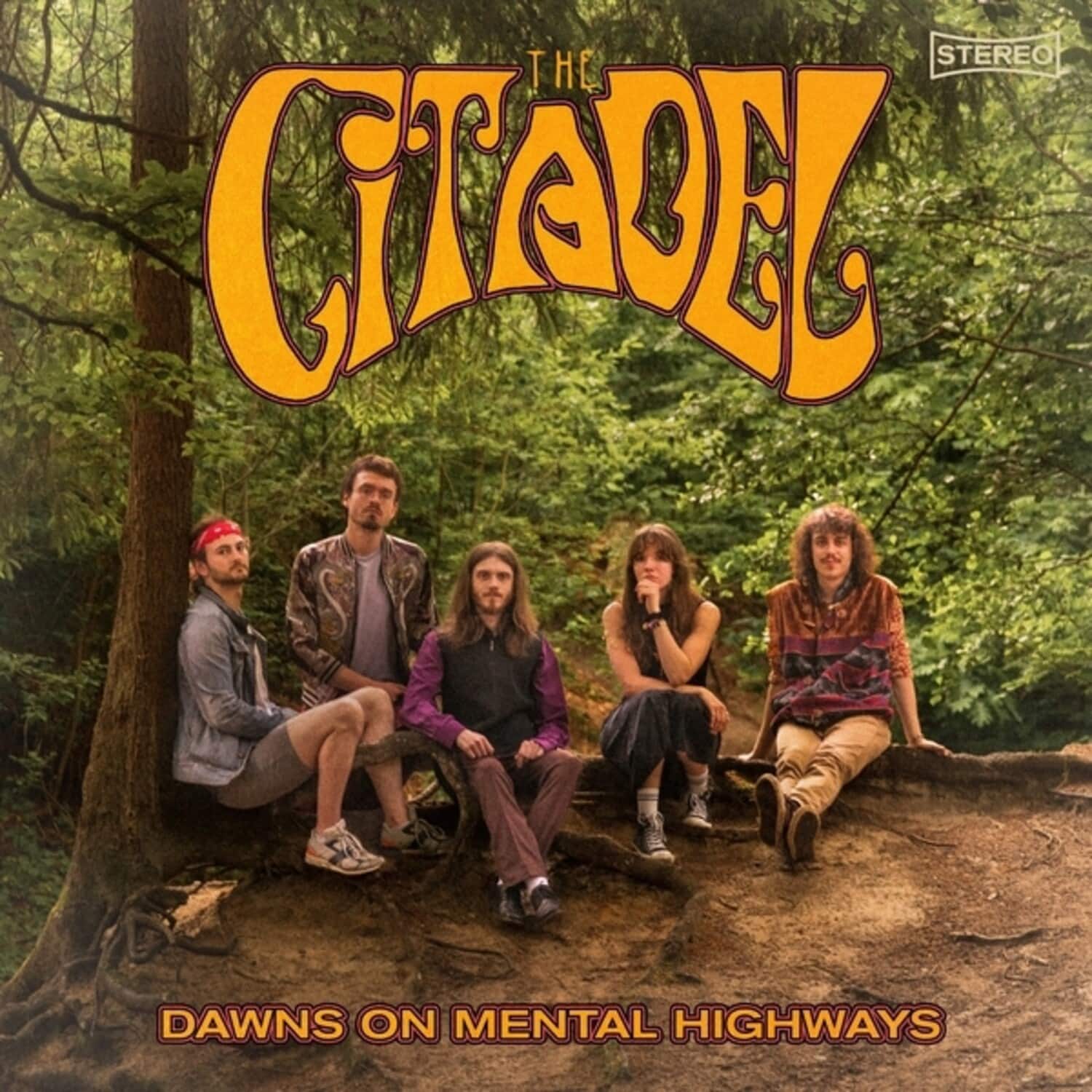 The Citadel - Dawns On Mental Highways   - VINYL LP price history on PriceWatchPro