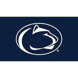 Evergreen Enterprises - Penn State Nittany Lions 28" x 16" Turf Mat - Multicolor