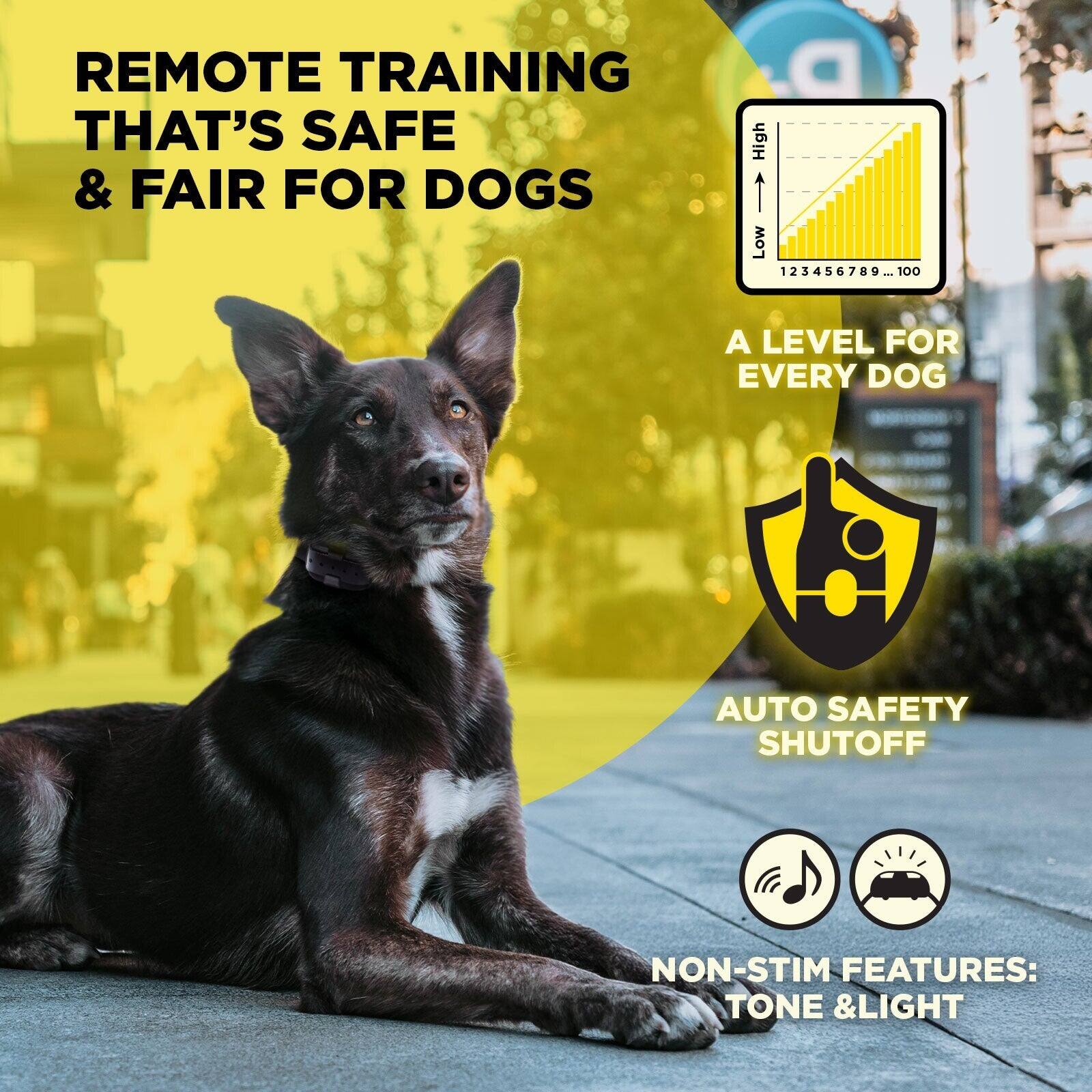 REMOTE TRAINING THAT'S SAFE & FAIR FOR DOGS

A LEVEL FOR EVERY DOG

AUTO SAFETY SHUTOFF

NON-STIM FEATURES: TONE & LIGHT