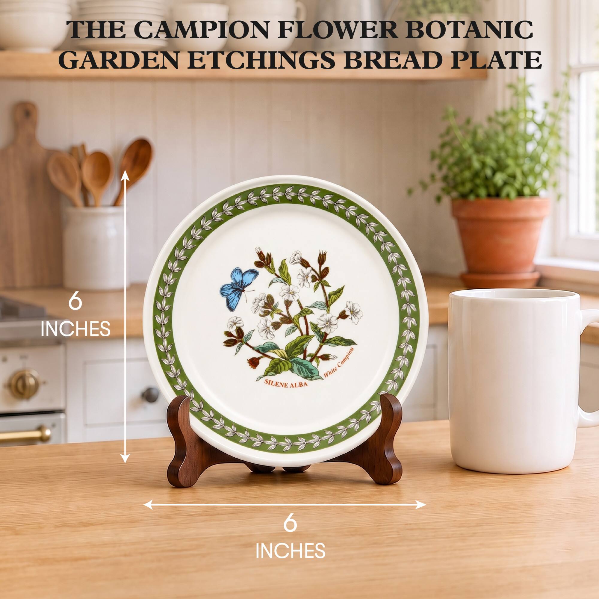 THE CAMPION FLOWER BOTANIC GARDEN ETCHINGS BREAD PLATE

6 INCHES

2019 Campion SILENEALBA

6 INCHES