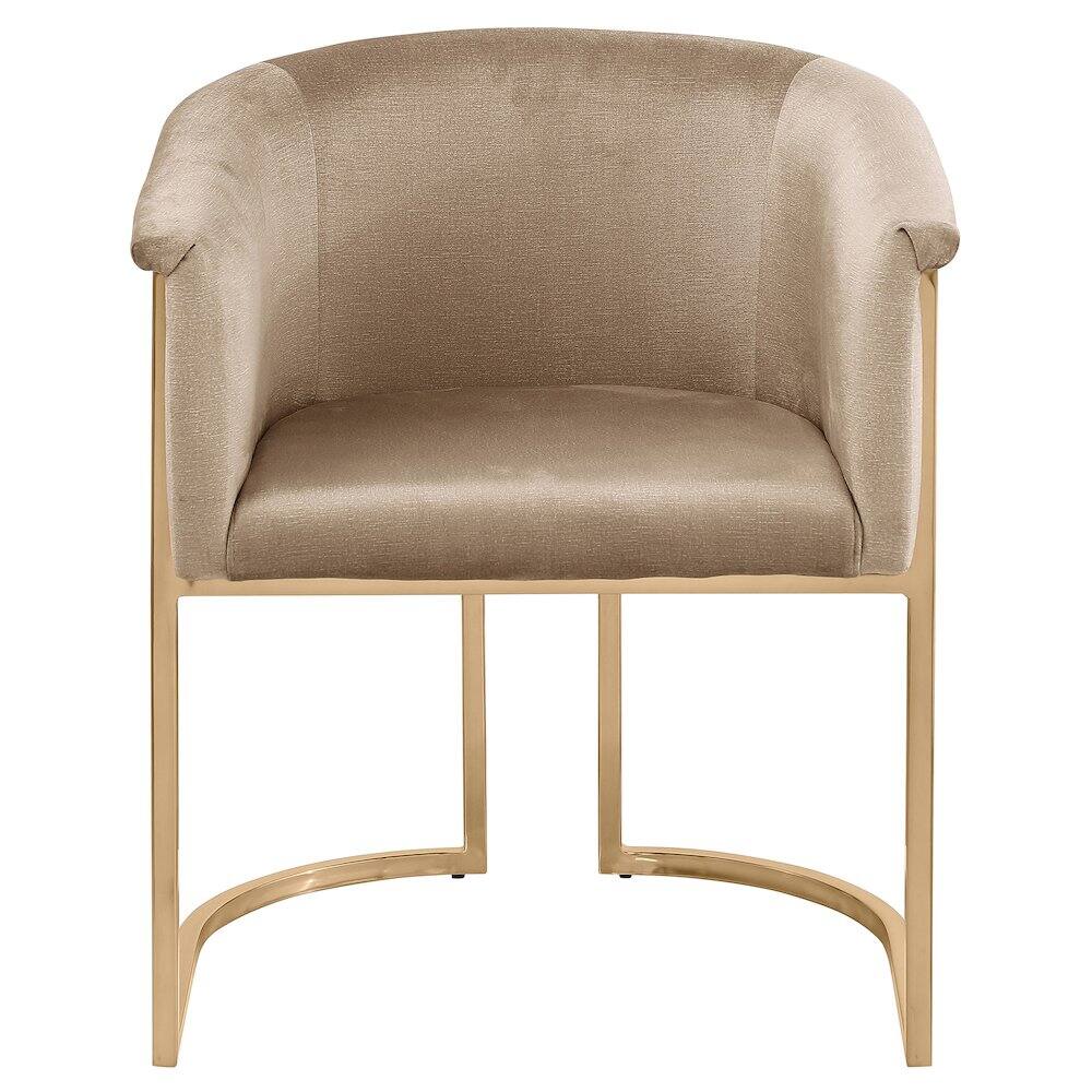 Alt View 2. Meridian Furniture - Tierra Beige Velvet Dining Chair - Beige.