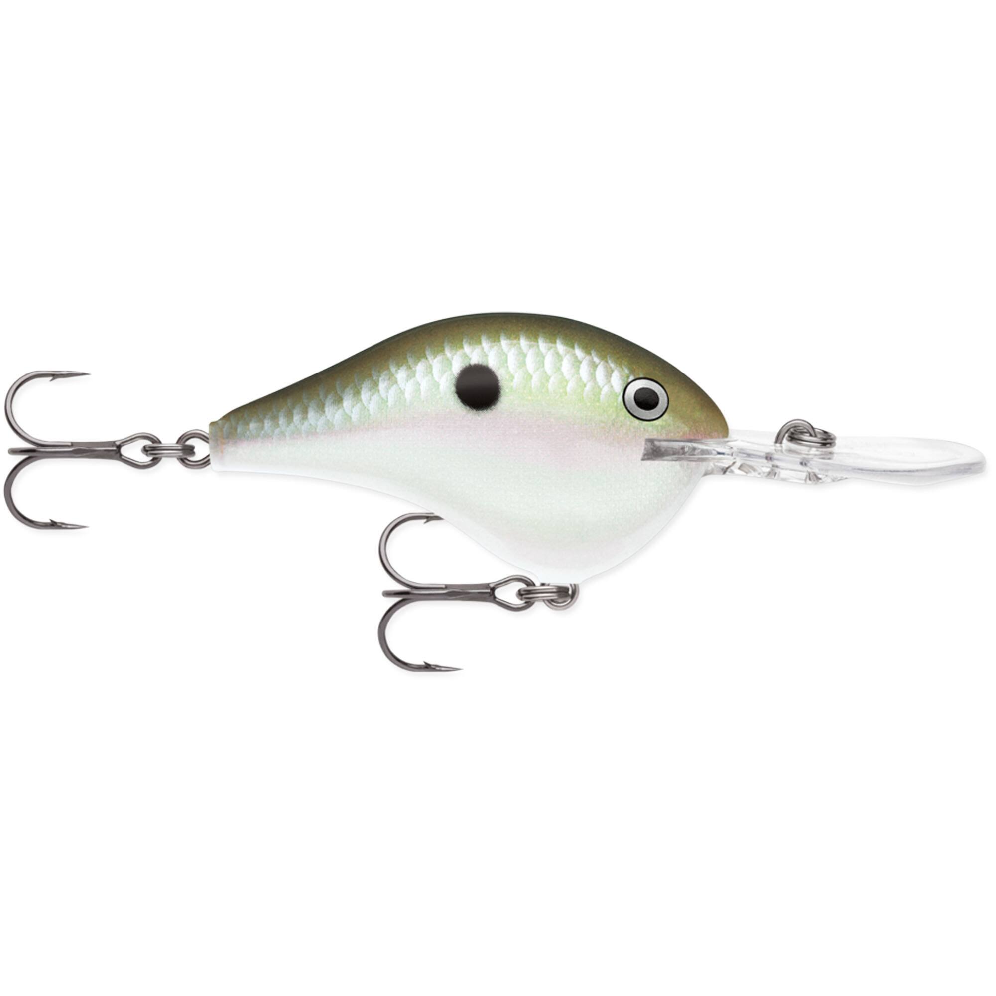 Green Gizzard Shad
