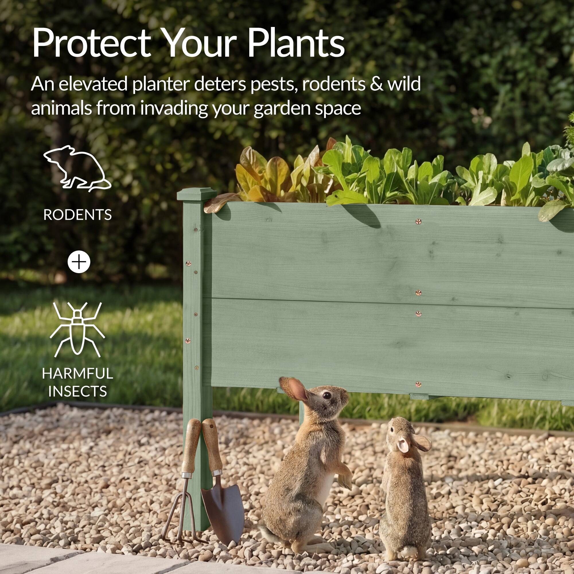Protect Your Plants

An elevated planter deters pests, rodents & wild animals from invading your garden space

RODENTS + HARMFUL INSECTS