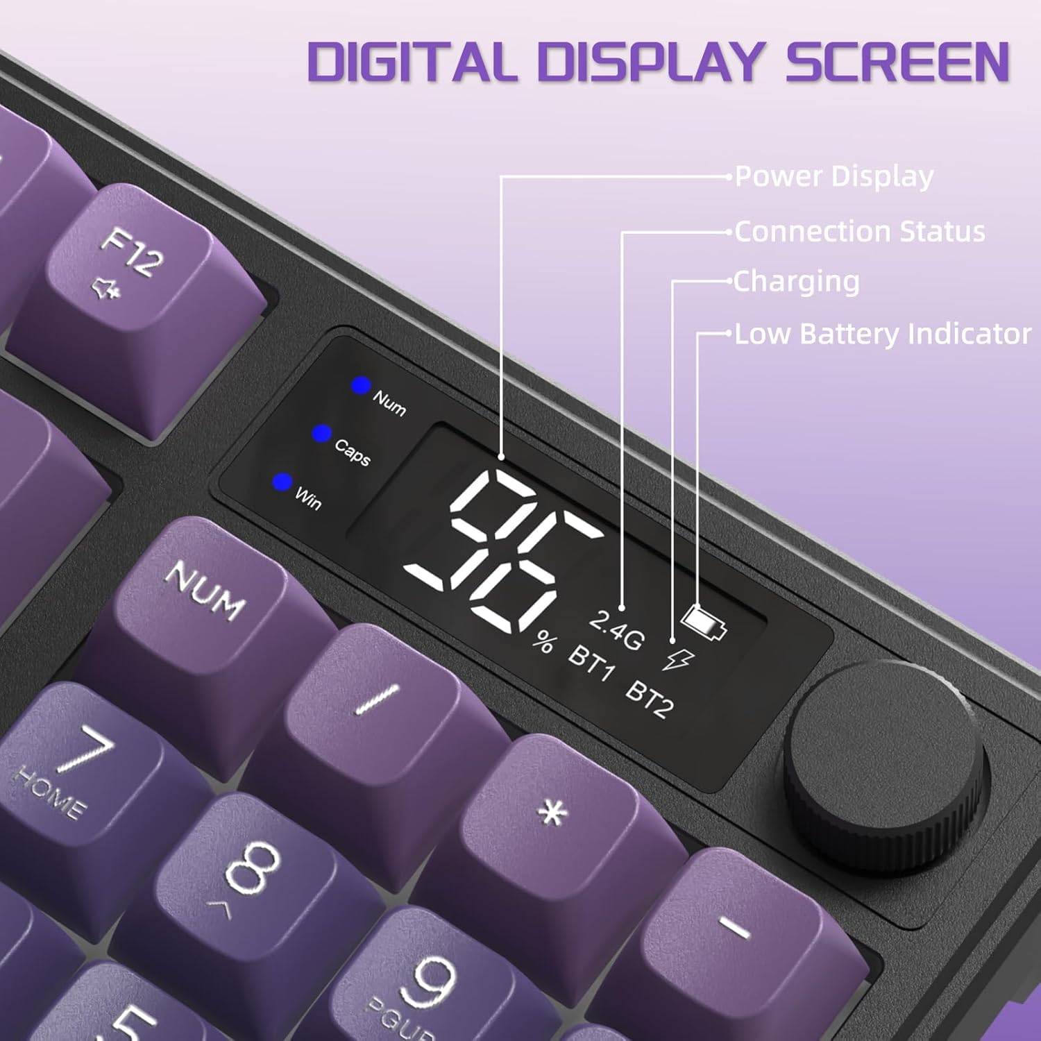DIGITAL DISPLAY SCREEN

- Power Display
- Connection Status
- Charging
- Low Battery Indicator

F12

Num Caps Win

NUM

7 HOME

8

9

5 PGUP

2.4G BT1 BT2