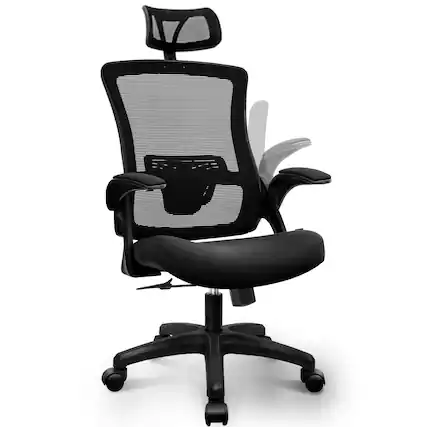 Front. Neo Chair - Office Desk Chair Computer High Back Support Mesh Comfy Adjustable Ergonomic Headrest Lumbar Rolling Flip-up Armrests - Plastic Base-Black.