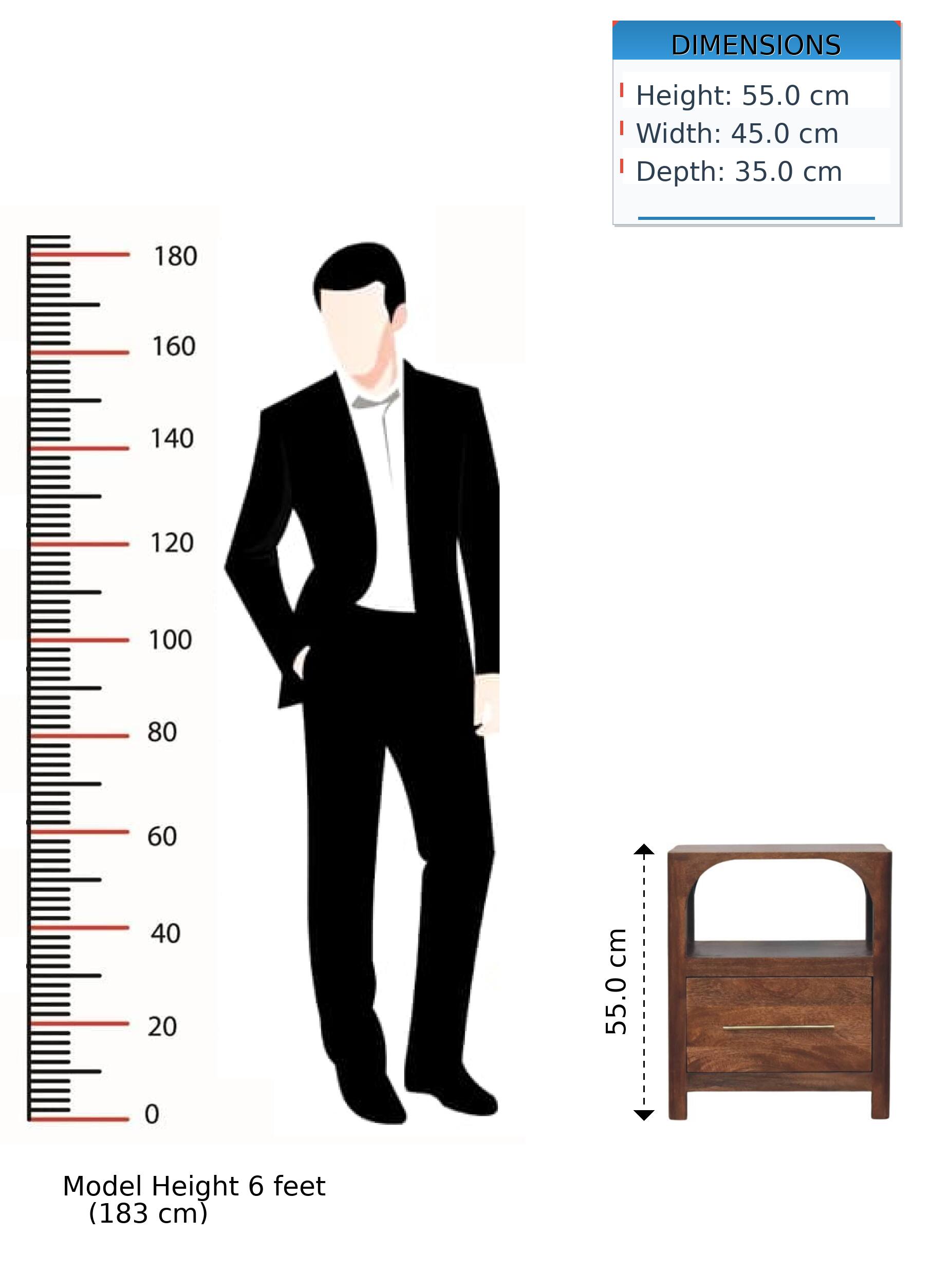 DIMENSIONS  
Height: 55.0 cm  
Width: 45.0 cm  
Depth: 35.0 cm  

Model Height: 6 feet (183 cm)
