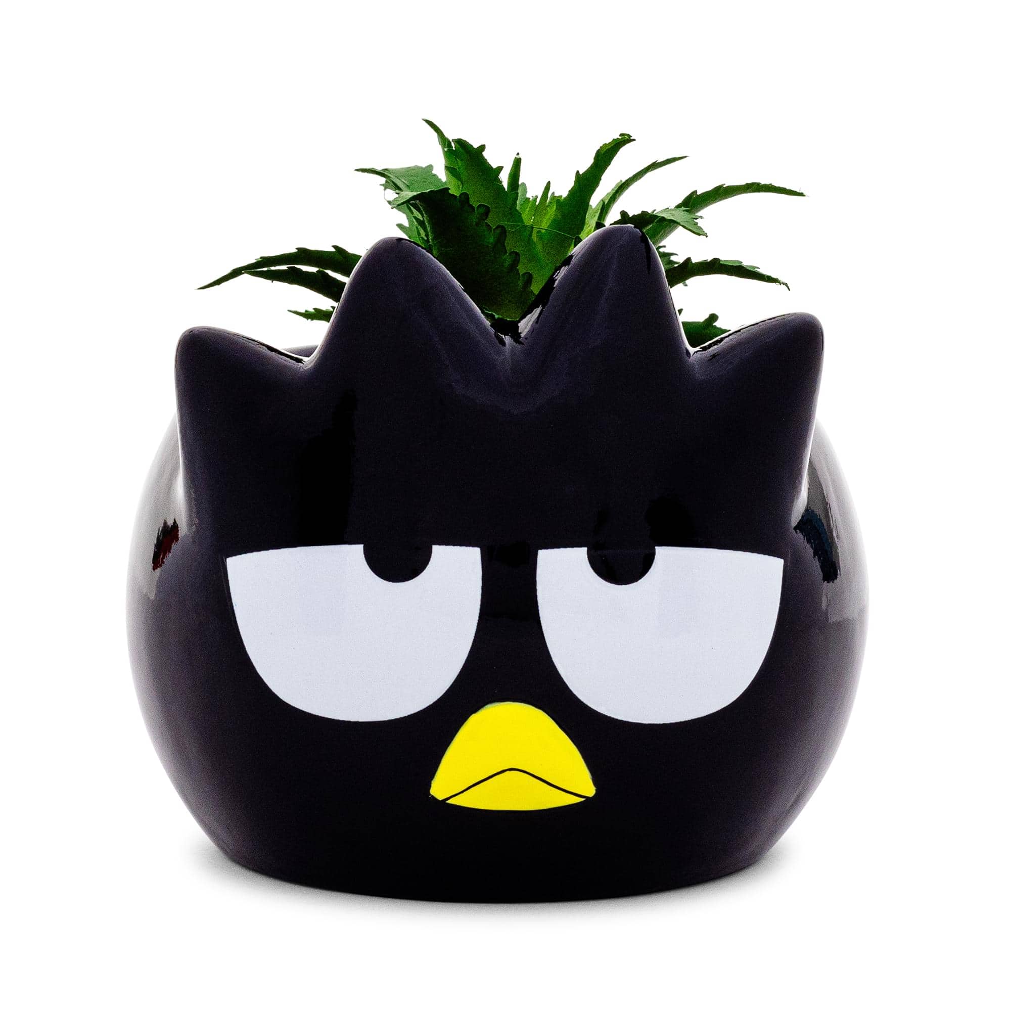 Silver Buffalo - Sanrio Badtz-Maru 3-Inch Ceramic Mini Planter With Artificial Succulent