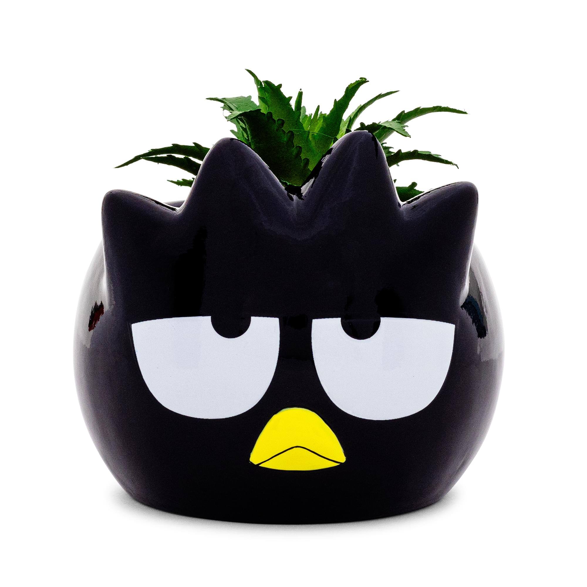 Front. Silver Buffalo - Sanrio Badtz-Maru 3-Inch Ceramic Mini Planter With Artificial Succulent - Black.