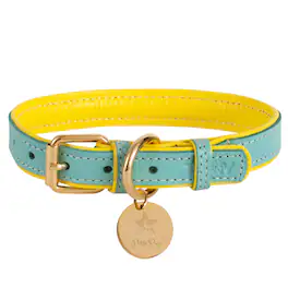 PoisePup - Genuine Leather Dog Collar - Handmade, Adjustable & Soft - Teal | Yellow