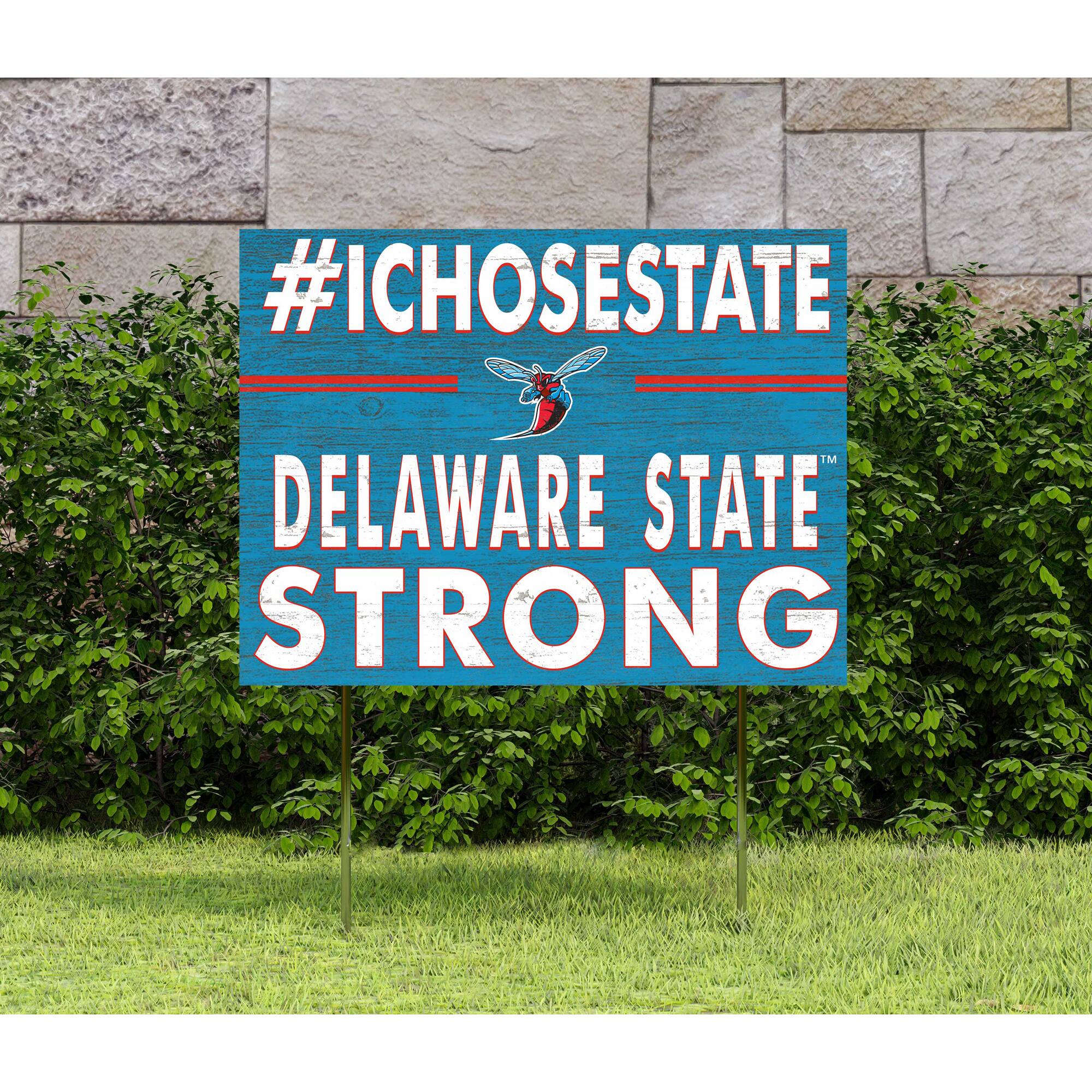 #ICHOOSESTATE  
DELAWARE STATE  
STRONG