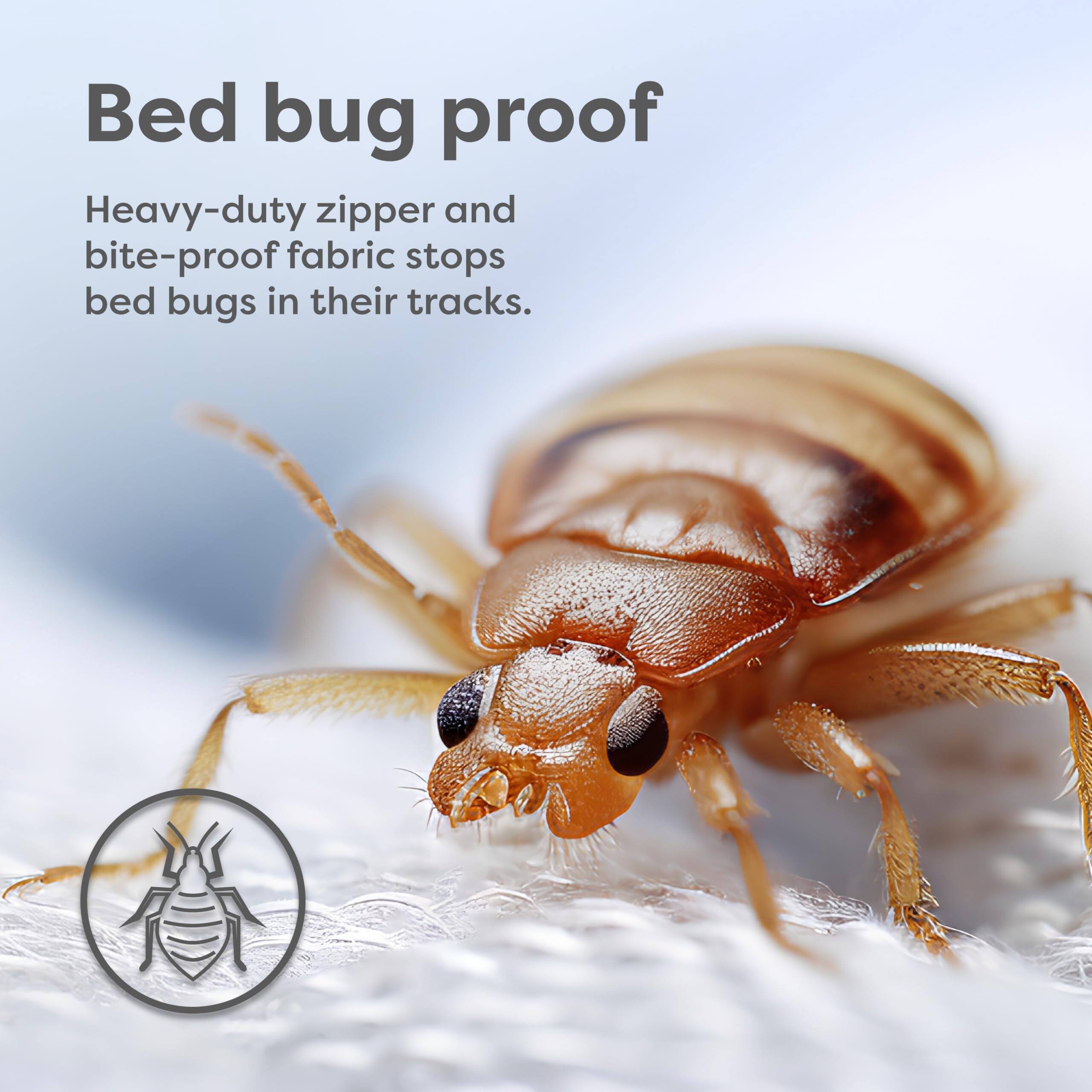 Comfort Essence Box Spring Encasement Zippered Bed Dust Mite Proof ...